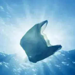 Why should we choose environmental goods?